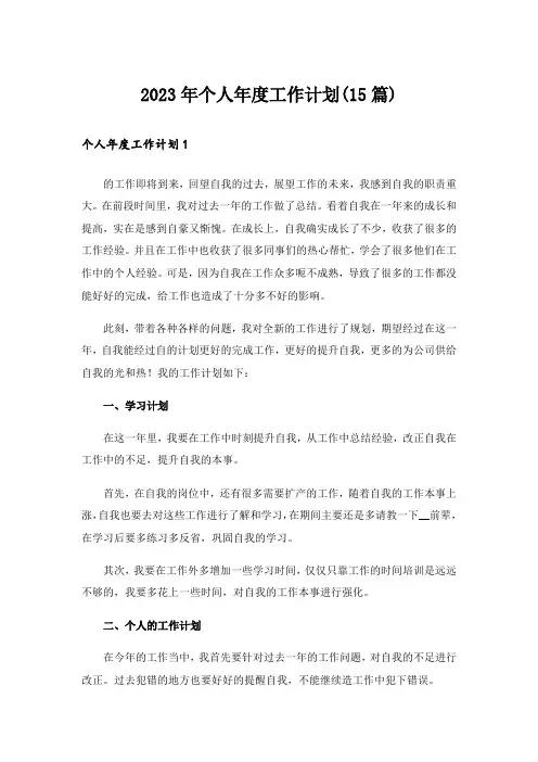 2023年个人年度工作计划(15篇)_5
