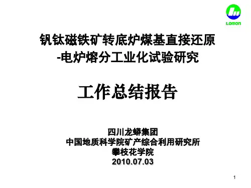四川龙蟒集团转底炉直接还原工作报告