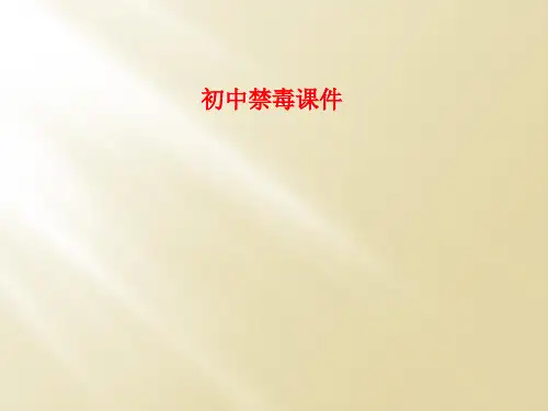 初中禁毒课件