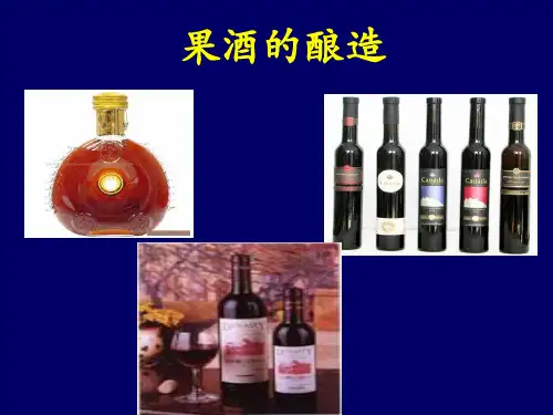 果酒的酿造基础知识
