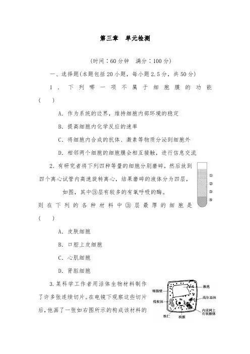 [精品]新人教版必修一高中生物第三章单元检测及答案