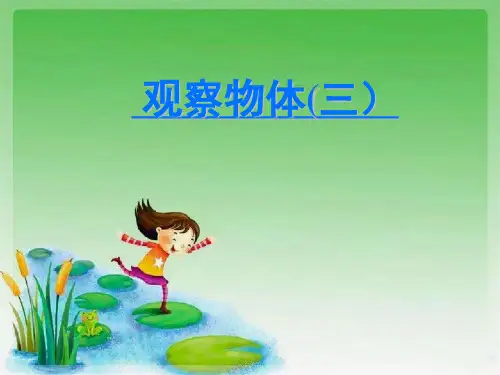 人教版《观察物体(三)》(完美版)PPT课件2(共24张PPT)