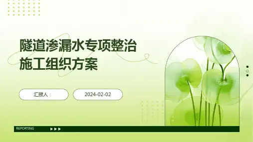 隧道渗漏水专项整治施工组织方案