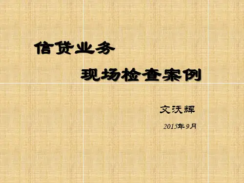 信贷检查培训课件(文沃辉)