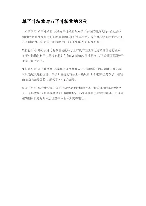 单子叶植物与双子叶植物的区别