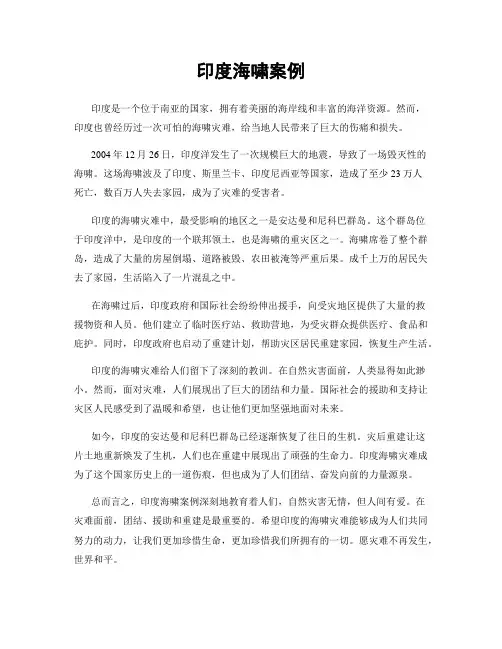 印度海啸案例