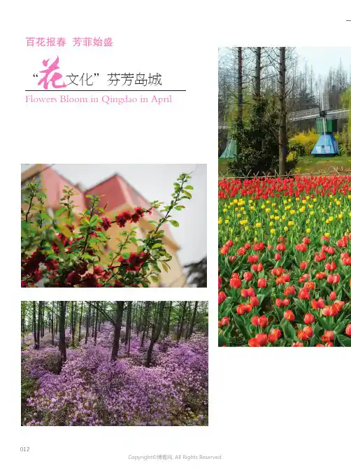 “花文化”芬芳岛城