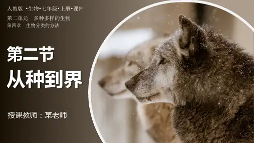 人教版生物七年级上册2.4.2《从种到界》课件(共30张PPT)