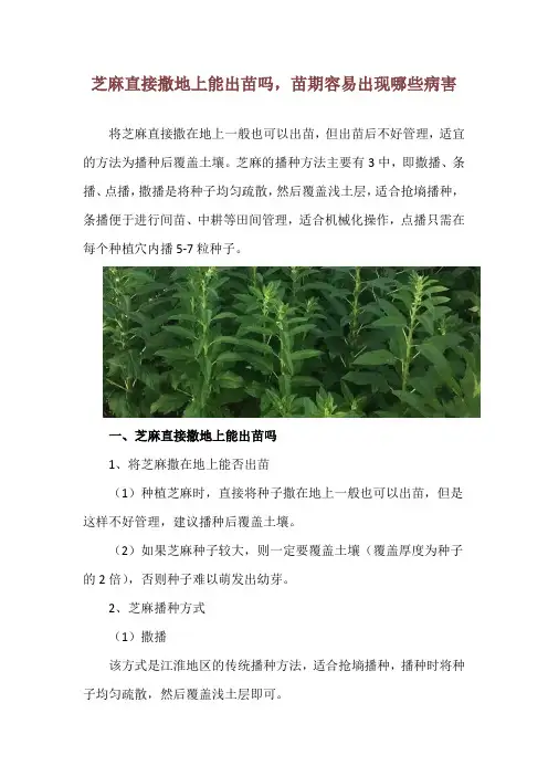 芝麻直接撒地上能出苗吗,苗期容易出现哪些病害