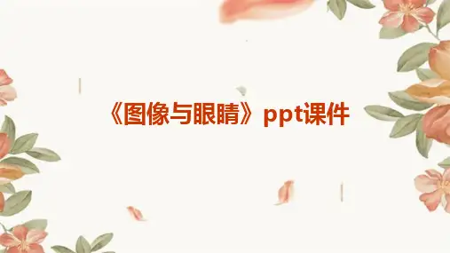 《图像与眼睛》课件