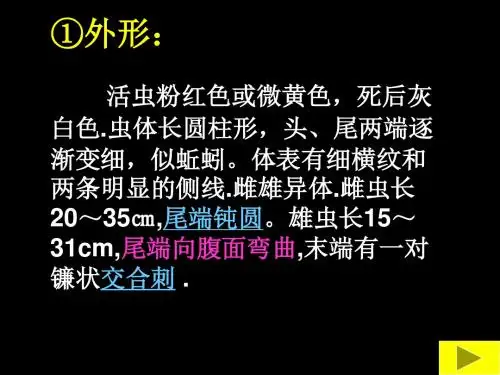 蛔虫毛首鞭形线虫要点PPT课件