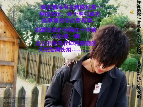 我的偶像,关于许嵩的幻灯片