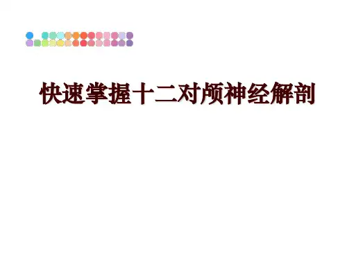 最新快速掌握十二对颅神经解剖