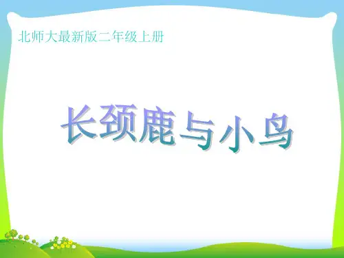 二年级数学上册9.1长颈鹿和小鸟课件1北师大版