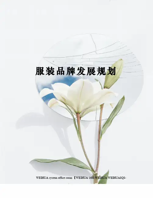服装品牌发展规划修订稿