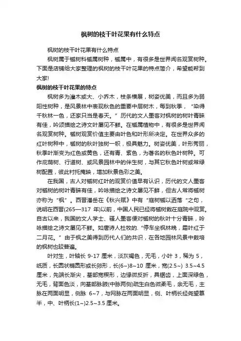 枫树的枝干叶花果有什么特点