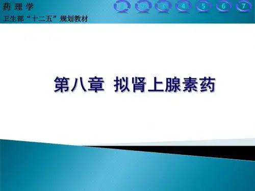 第八章 拟肾上腺素药 PPT课件