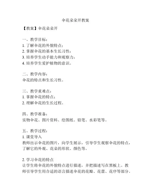 伞花朵朵开教案