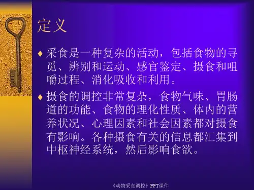 动物采食调控课件