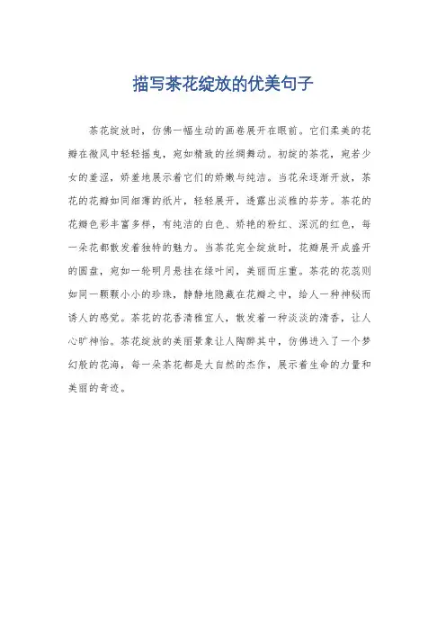 描写茶花绽放的优美句子