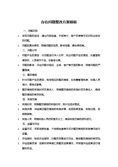 存在问题整改方案 模板