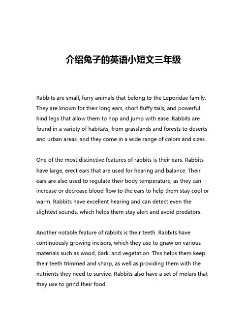 介绍兔子的英语小短文三年级