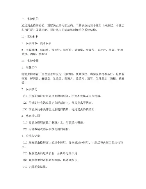 涡虫横切实验报告