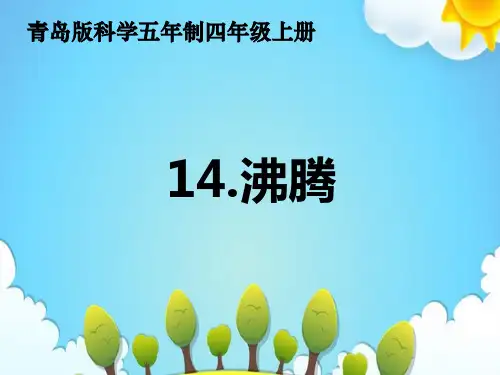 青岛版小学科学四年级上册沸腾课件(2)