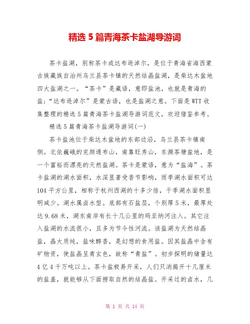 精选5篇青海茶卡盐湖导游词