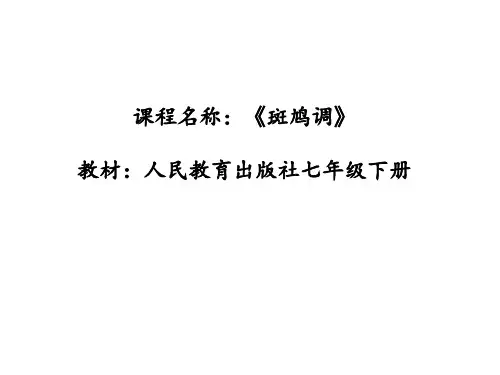 斑鸠调初中音乐PPT课件