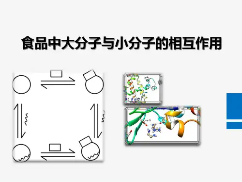 食品中大小分子互作用ppt课件
