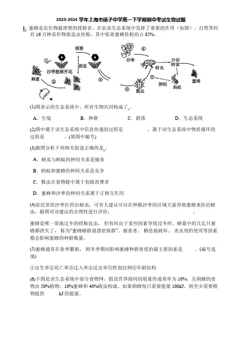 2023-2024学年上海市扬子中学高一下学期期中考试生物试题