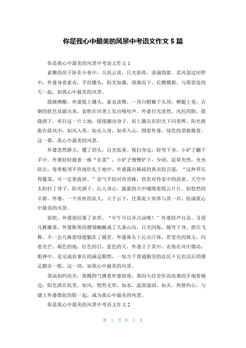 你是我心中最美的风景中考语文作文5篇