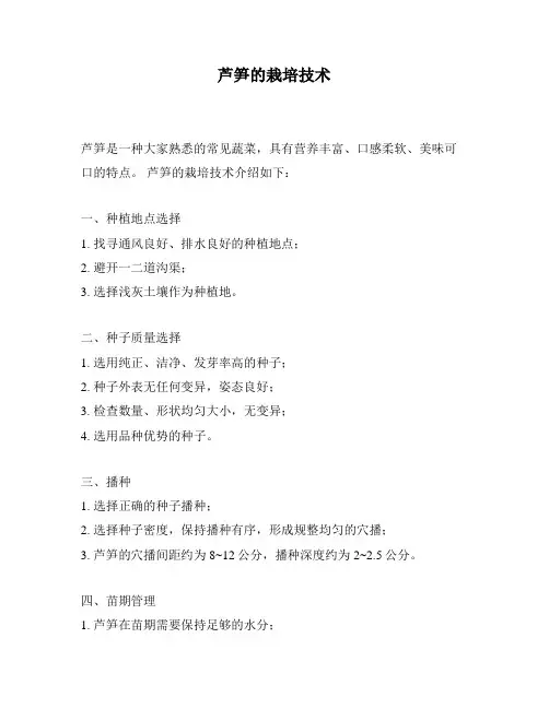 芦笋的栽培技术