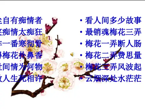 人教版高中语文必修四第二单元第七课《醉花阴》《声声慢》教学课件 (共63张PPT)