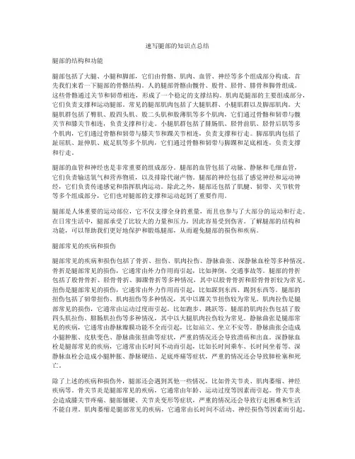 速写腿部的知识点总结