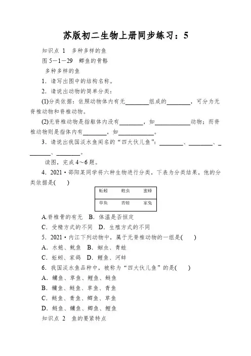 苏版初二生物上册同步练习：鱼