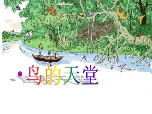 《鸟的天堂》ppt课件第二课时