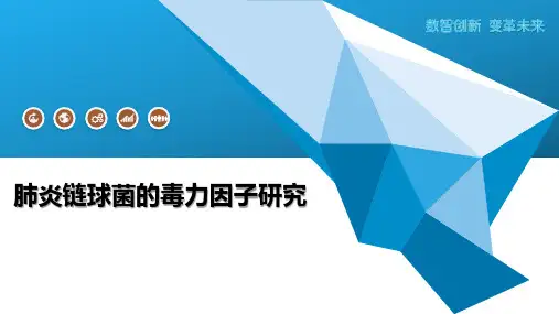 肺炎链球菌的毒力因子研究