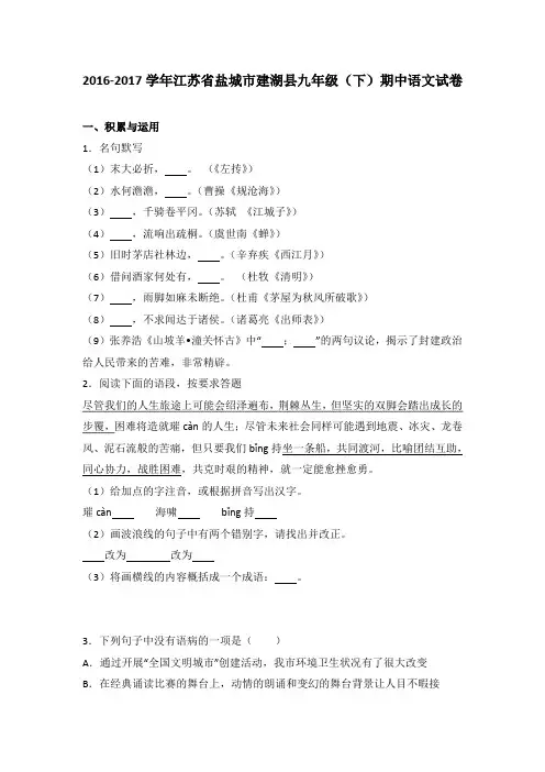 江苏省盐城市建湖县2017届九年级(下)期中语文试卷(解析版)
