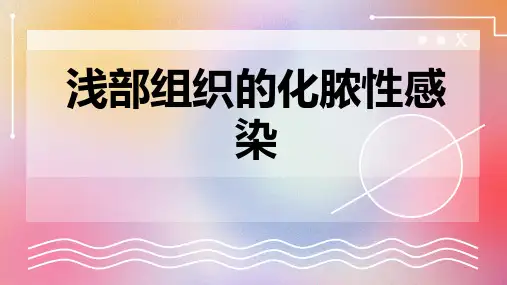 浅部组织的化脓性感染