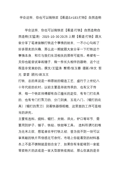 学会这些,你也可以做铁匠【看道打铁】自然造物