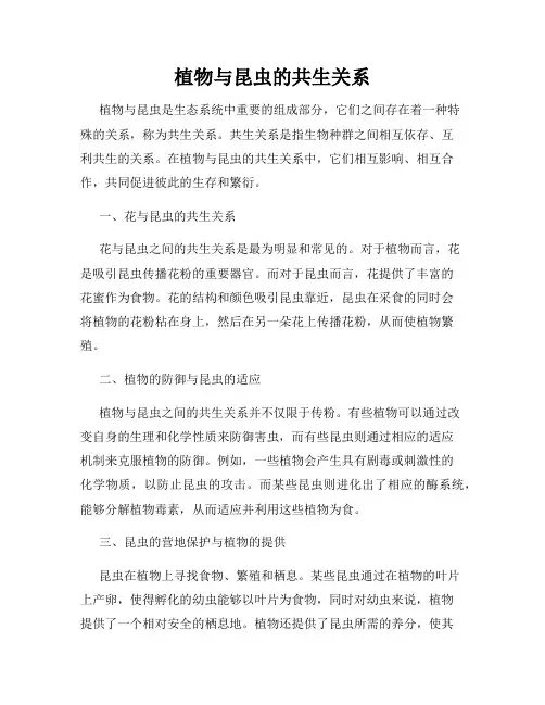 植物与昆虫的共生关系