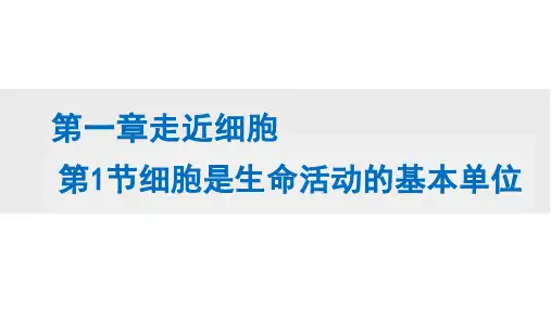 生物人教版2019高中必修一1-1细胞是生命活动的基本单位  (课件共24张PPT)