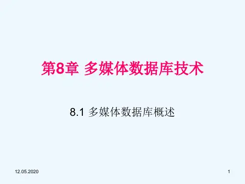 多媒体数据库技术