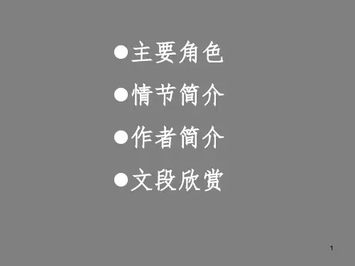 了不起的盖茨比介绍.