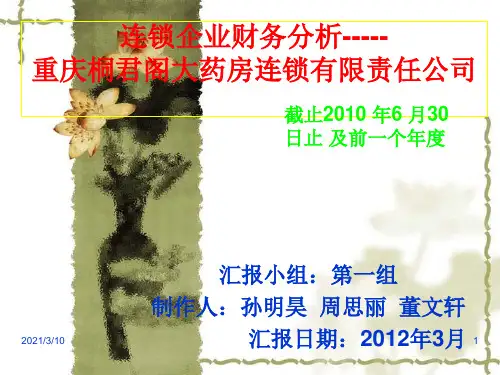 连锁企业财务分析PPT课件