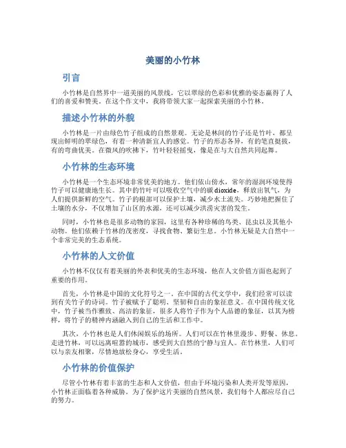 美丽的小竹林作文