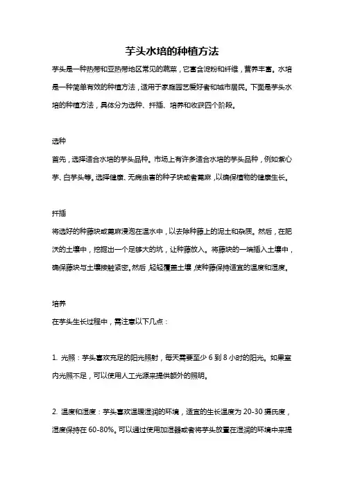 芋头水培的种植方法