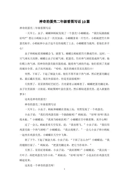 神奇的蛋壳二年级看图写话10篇